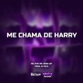 MC KVP、MC SENA SP、Dj Rick - ME CHAMA DE HARRY (Explicit)