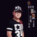 刘爽 - 你有没有真的爱过我
