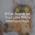 Cat Music、Cats Music Zone、Music For Cats Peace - Ultimate Zen Music for Your Cat, Pt. 1