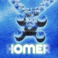 HOMER (Explicit)