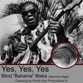 Blind Blake、Poofy Hair Productions、Arther Philips - Yes, Yes, Yes