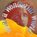 John Oates、bob thiele、George David Weiss - What A Wonderful World
