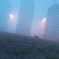 fataliitty - Incense (Explicit)