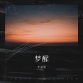 李淑强 - 你就不要想起我