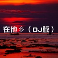 在他乡 (DJHY remix)