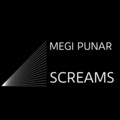 Megi Punar - Broken Reflections