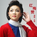 王莉 - 红梅赞