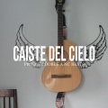 Caíste del Cielo