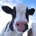 things happen (Explicit)