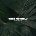 DJ Sanskuy - Cidro Pengtelu