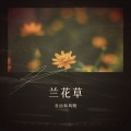 自由如风晓 - 兰花草