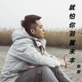 张跃 - 就怕你羽翼未丰