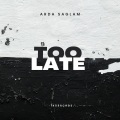 Arda Sağlam - Too Late