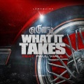 What It Takes (feat. Paul Wall)(Explicit)