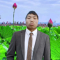 李登 - 容易受伤的女人