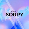 Sorry (Circuit Mix)