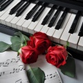 Million Roses
