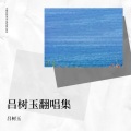 吕树玉 - 错过了缘分错过你 (Live)