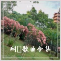 高小源yuan - 那个男孩