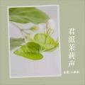 金晟 - 梨花飘