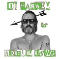 Rheinzand - Mr Mercury