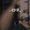 罗森涛 - 如果