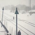 Nhunnid - Cold