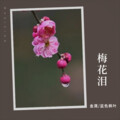 金晟 - 寂寞爱上眼泪