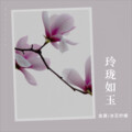 金晟 - 让你知道我爱你