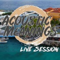 Acoustic Meanings - Hit the Road