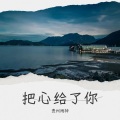 赵荣光 - 把心给了你