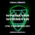 Green Neon DJ - Whenever Wherever (Tik Tok Sped Up)(Remix)