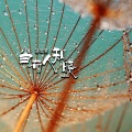 赵乾景 - 当有人知晓