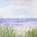 清音古韵 - 溪流不惜