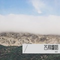 王某人 - 用情