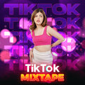 DJ Maru - TIKTOK VIRAL MIXTAPE, Vol. 1