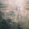 1111 (Original)