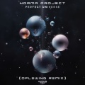 Perfect Universe (Oplewing Remix)
