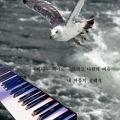 韩国群星 - Plasir D`amour