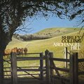 shirley collins - High and Away