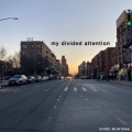 Sandi - my divided attention