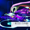 再见北京 (DJRN版)