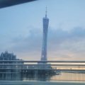 王小浅 - 老男孩