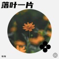 咪咪 - 一片落叶
