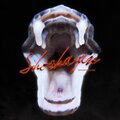 Sparkplugg - Shoshagan (Explicit)
