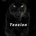 VodKe、Maga - Tension