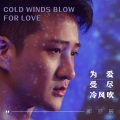 郑亦辰 - 为爱受尽冷风吹