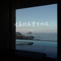 刘诗琪 - 凌晨烂在梦里的花