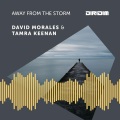 Away from the storm (DIRIDIM Mix)