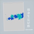 用余生忘记你
